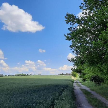 Vierseitenhof Hasenfelde - Ferienwohnung Feldblick Steinhofel Eksteriør billede