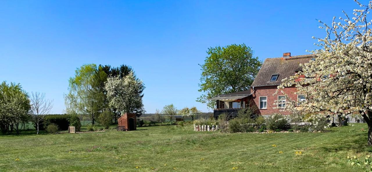 Vierseitenhof Hasenfelde - Ferienwohnung Feldblick Steinhofel Eksteriør billede