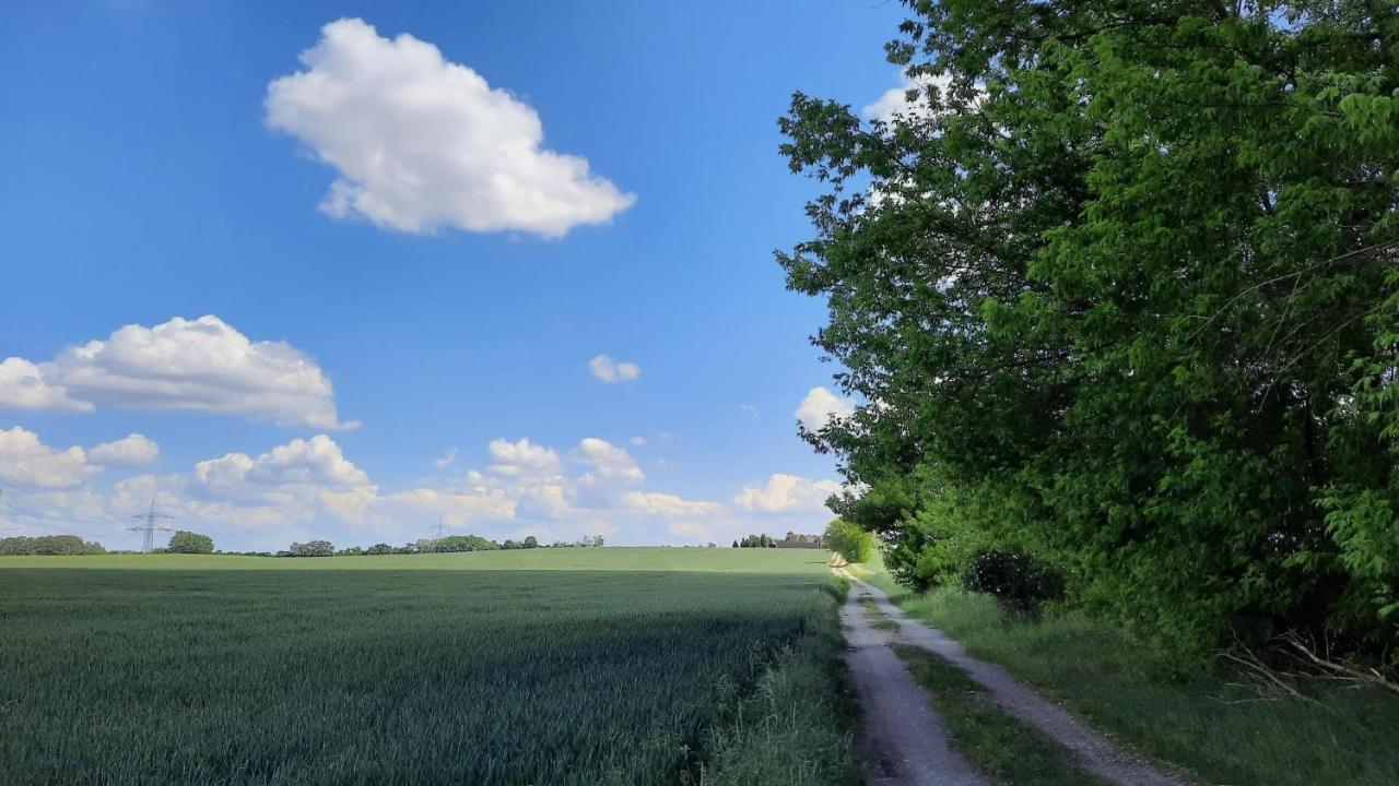 Vierseitenhof Hasenfelde - Ferienwohnung Feldblick Steinhofel Eksteriør billede